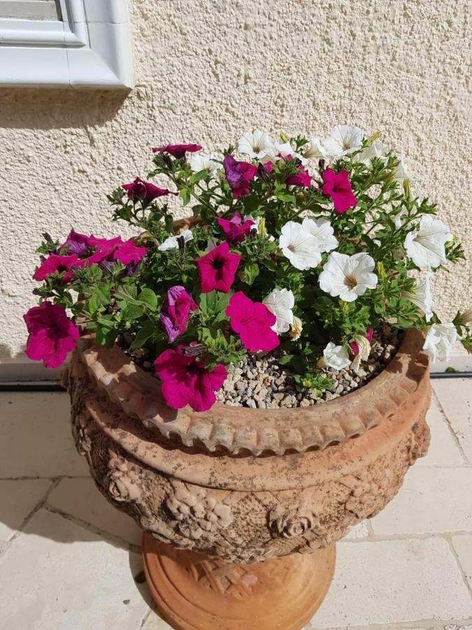 Trullo Villa Giulia Martina Franca Buitenkant foto